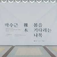 덕수궁에서 만나는 박수근 전시회