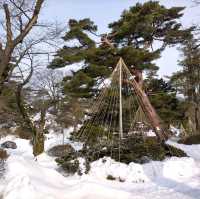 秋田県　千秋公園　雪景