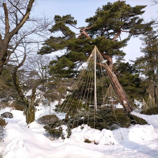 秋田県　千秋公園　雪景