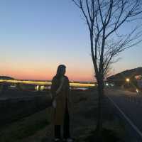 [대구] 노을 명소, 강정보🌅🌇