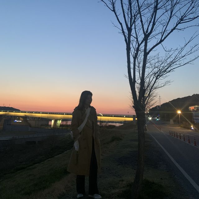 [대구] 노을 명소, 강정보🌅🌇