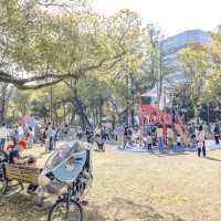 横浜公園の桜景色