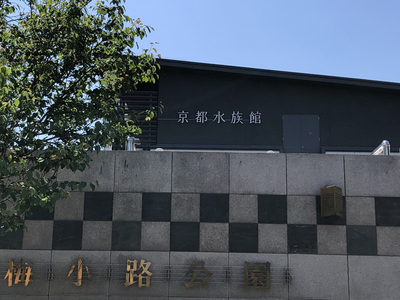 京都 大人気観光スポット 京都水族館 Trip Com 京都の旅のブログ