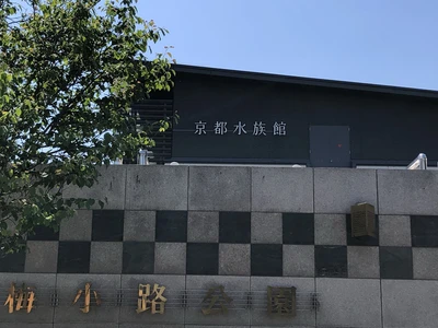 京都 大人気観光スポット 京都水族館 Trip Com 京都の旅のブログ