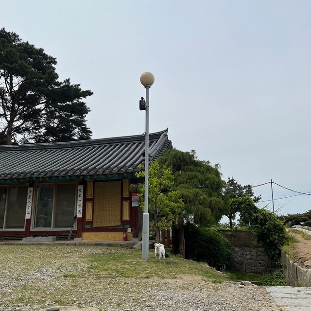 봄에 딱 가볼만한 곳 “오산 독산성”