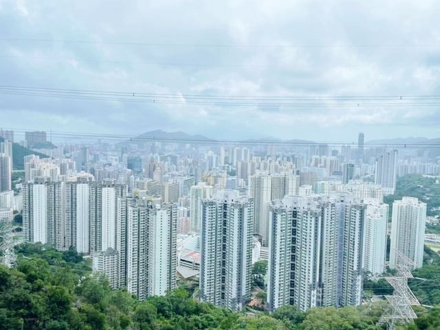 金山家樂徑