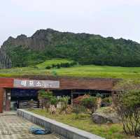 Seongsan Ilchulbong Sunrise Peak in Jeju 