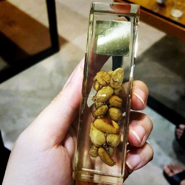 One of the Best Coffee In Bali(Batam)