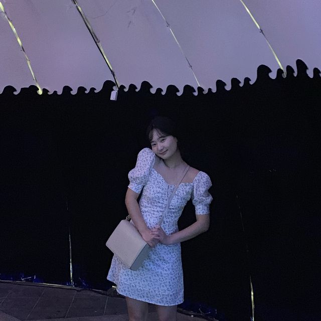 밤에도 놀기 좋은 "일산해수욕장"