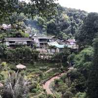 beautiful hill tribe in the national park 