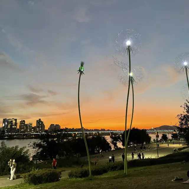 [한강 노을] 아름다운 하늘의 변화 🌅뚝섬유원지