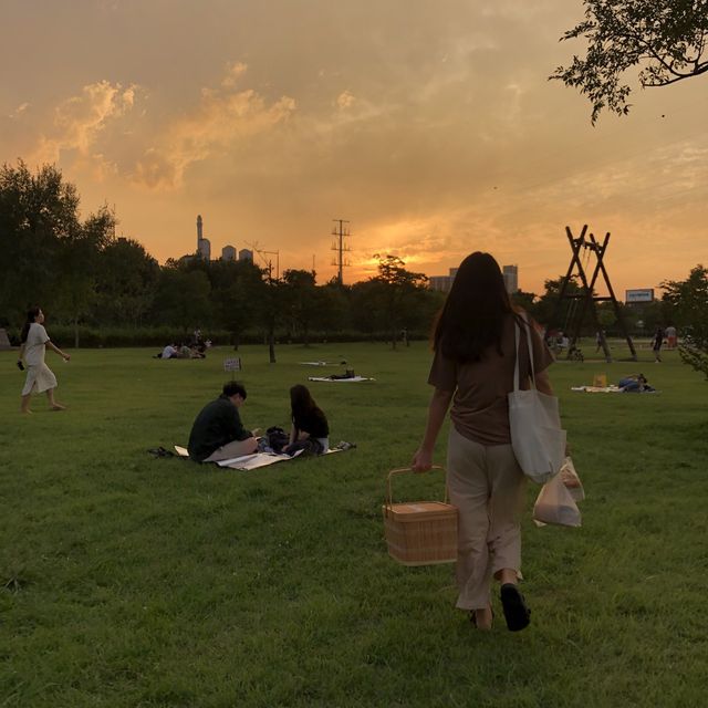 션유도 공원에서 산책하고 피크닉데이트🧡