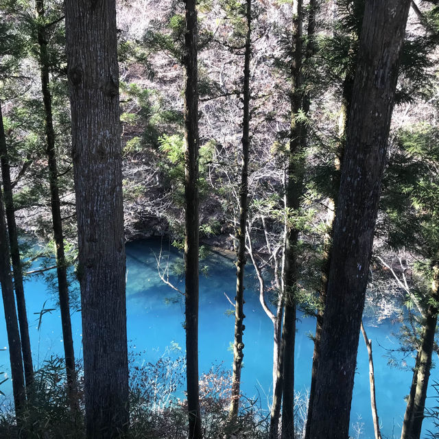 Late Autumn in Shibukawa 