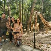Africa in Cebu Safari and Adventure Park!