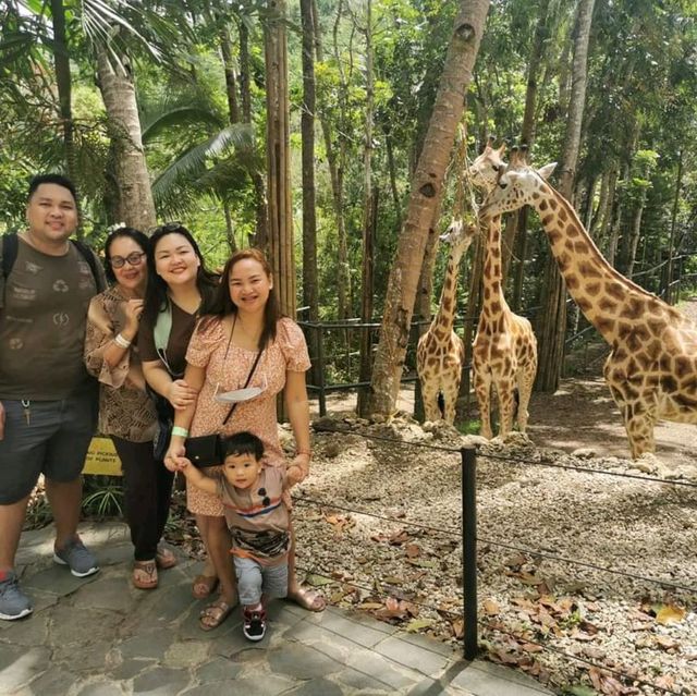 Africa in Cebu Safari and Adventure Park!