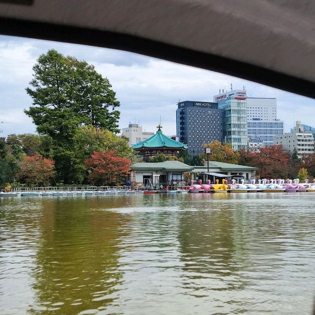 Shinobazu Pond in Ueno Park