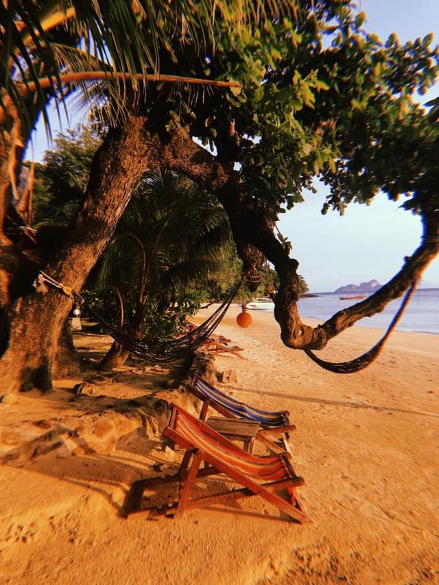 Ko Phi Phi Don, Thailand 🌺✈️🇹🇭