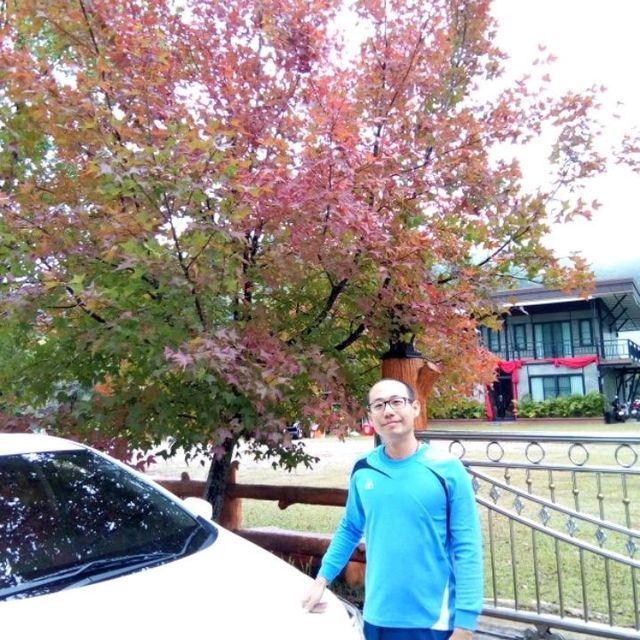 Red Maple in Doi Mae Salong