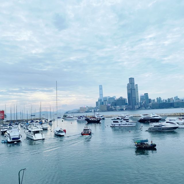 暢遊海濱花園，欣賞維港美景