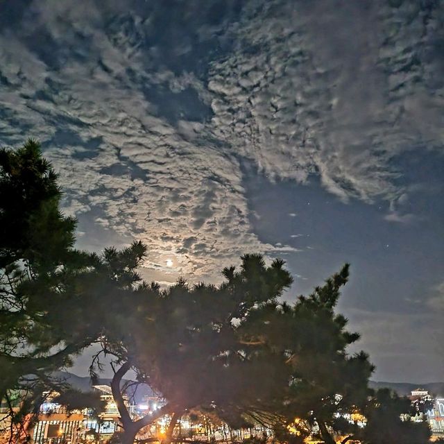 소노벨변산리조트와 카페마르