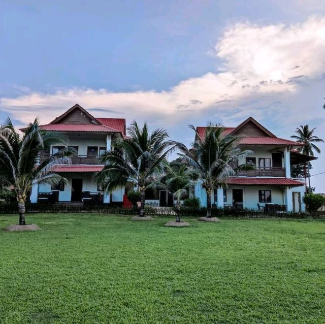 Calming Lotus Seaview Beach Resort