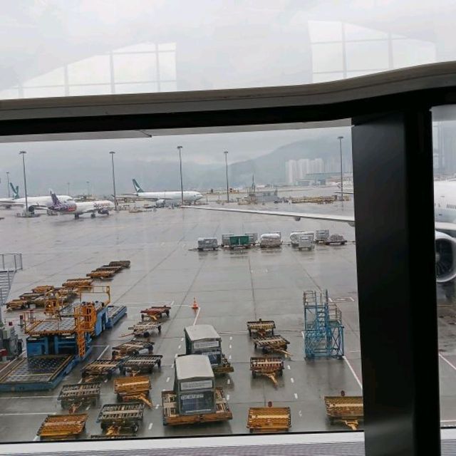 travel experience 