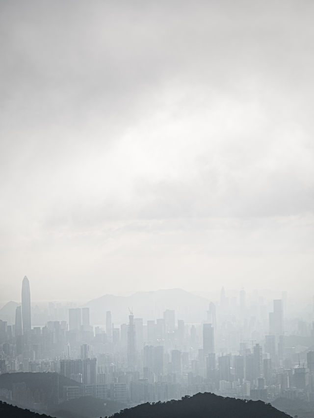 Shenzhen City Views