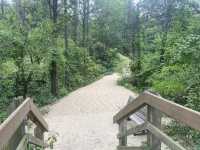 Diana of Dunes Dares Hike  - Indiana Dunes