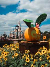 Halloween Arrives at Shanghai Disneyland🎃