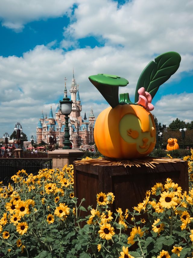 Halloween Arrives at Shanghai Disneyland🎃