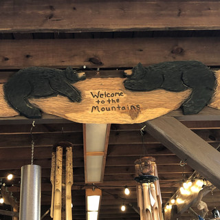 United States｜Helen Town, Georgia A cozy shop in the forest