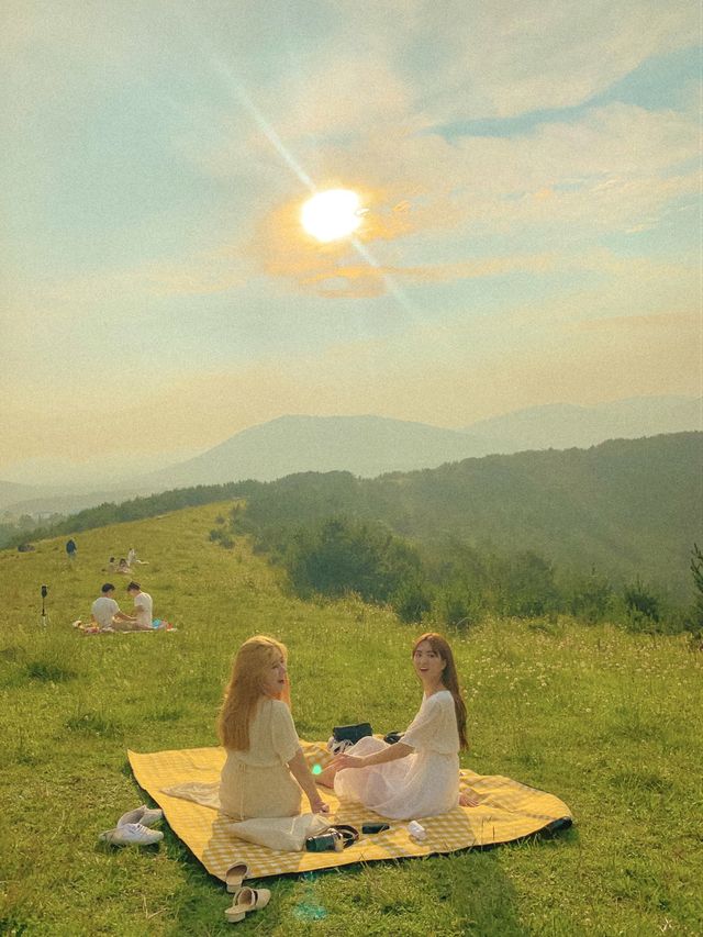 [제주] 웨딩촬영을 다 여기서 하는 이유가 있다! “아부오름”