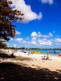 Northern Paradise in Mauritius 🏖👙🐚