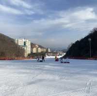 강원도 홍천 스키장🏂비발디파크 스키장
