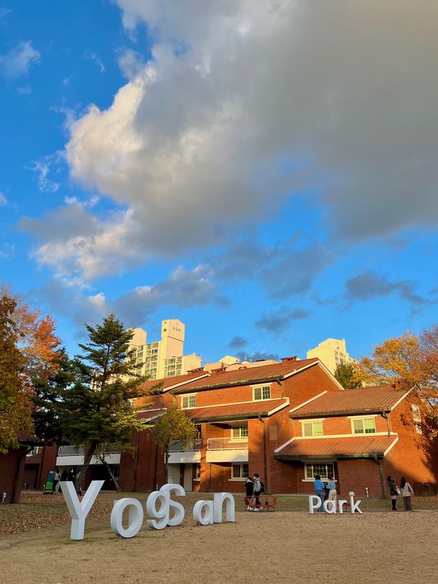인스타 핫플, 용산공원 미군기지 ﻿✨