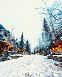 Let it snow in Whistler