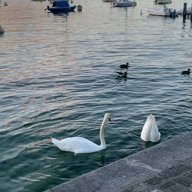 Heaven within reach _ Montreux