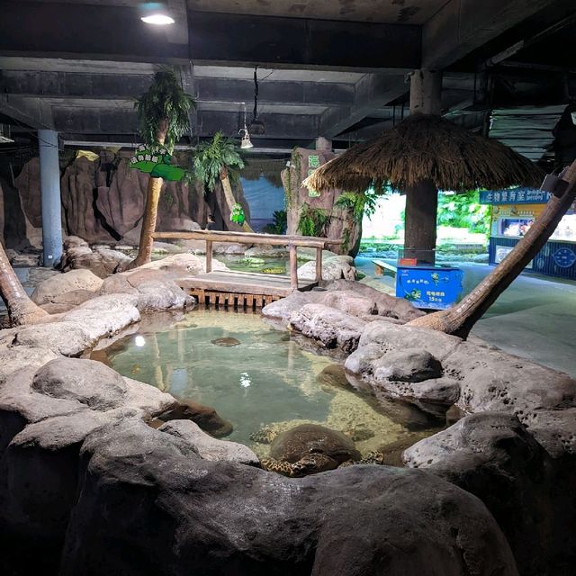 Nanchang ocean park 