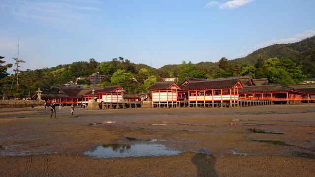 宮島～鳥居をみながらゆっくり散策～