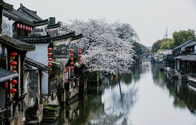 The forgotten small city in Anhui, which is very close to Nanjing, is a good choice for retirement and elderly care services.