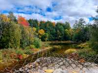 Gatineau Park