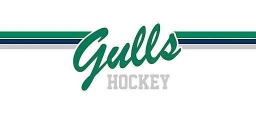 Endicott College Women's Ice Hockey vs Southern Maine | Raymond J. Bourque Arena