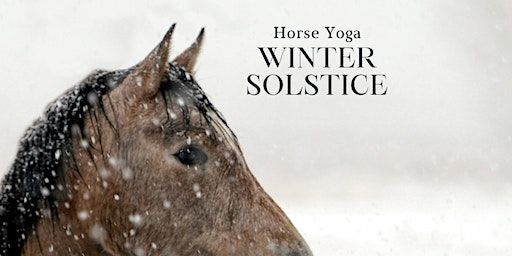 Winter Solstice Horse Yoga | The Hayloft