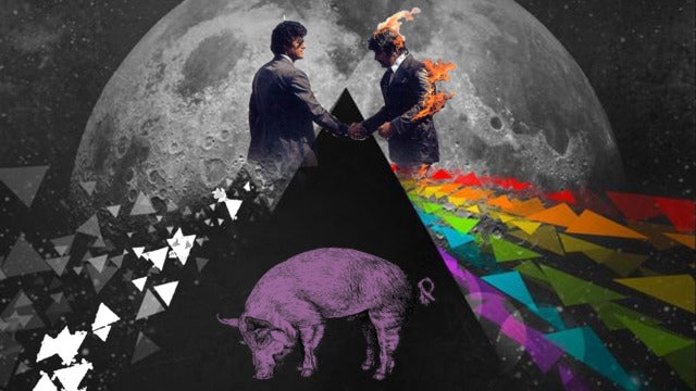 Several Species: The PINK FLOYD Experience 2024 (Stevensville) | Cult Classic Brewing Outdoor Stage