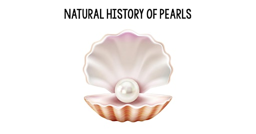 Natural History of Pearls | 1816 W Baseline Rd