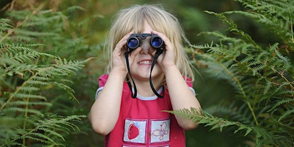 Little Bugs Club at Summer Leys (10th July) | Summer Leys Nature Reserve
