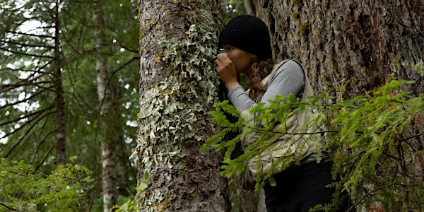 An Introduction to Lichens | Compost Education Centre