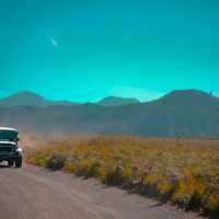 BROMO TENGGER MOUNT