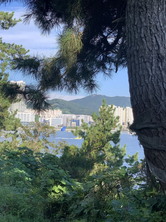 여수 섬 여행 추천 :: 아름다운 예술의 섬 장도🌊