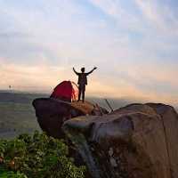 SJ88 HILL : JEMBER